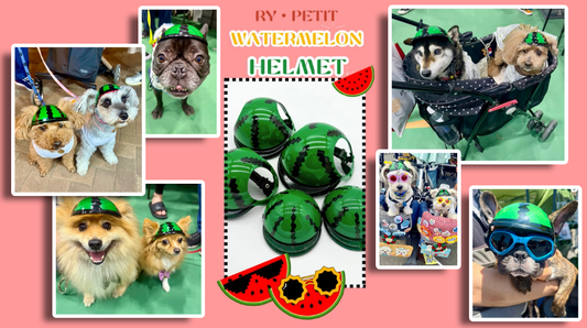 【新作登場】夏にぴったり!スイカ柄の犬用ヘルメットでおしゃれに安全対策🍉🐶