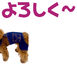 オリジナルラインスタンプ【AIアニメーションスタンプ】よろしく