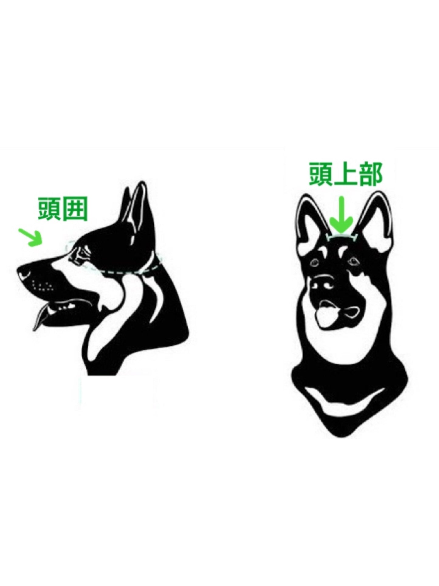 ワンちゃん用ヘルメット 【耳が出るタイプ】 日章旗 グリーン【夜露死苦 仏恥義理】