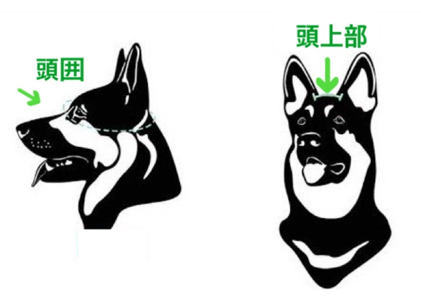 ワンちゃん用ヘルメットサイズ(耳が出るタイプ)