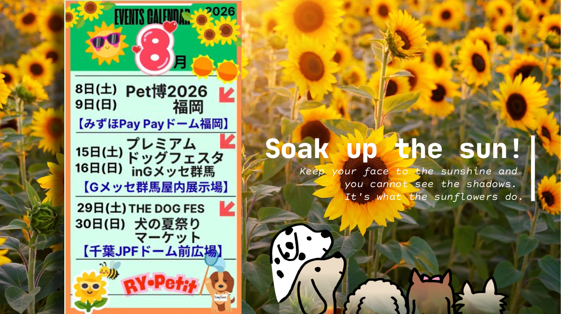 🍉🍉8月イベント出店予定🌻🌻