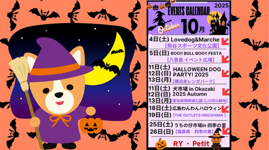 🎃10月イベント出店予定😈