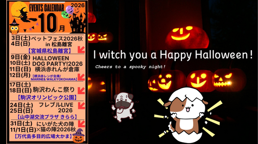 🎃🎃10月イベント出店予定🎃🎃