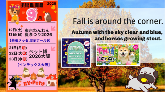 🍁9月イベント出店予定🍁