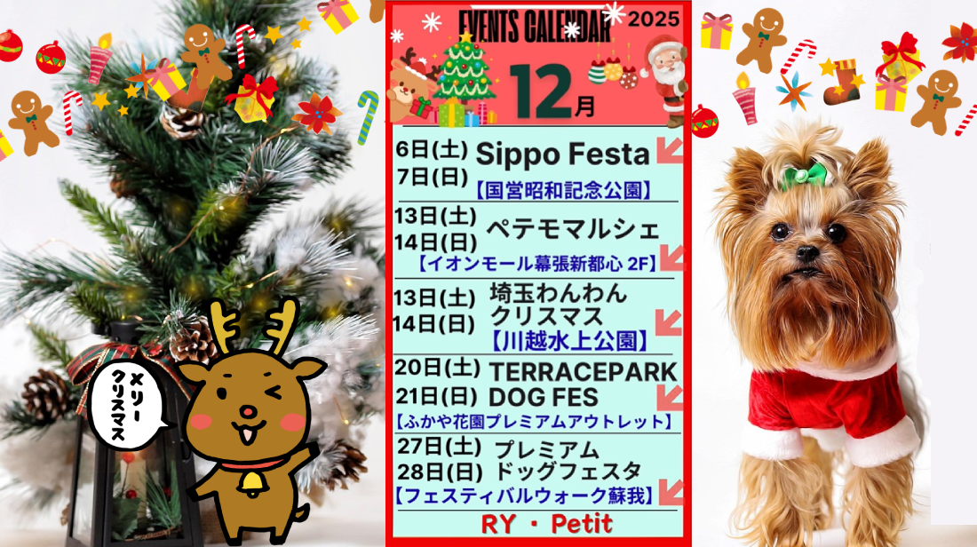 🎅🎄12月イベント出店予定🎄⛄️