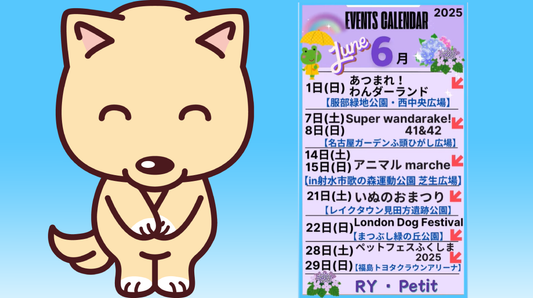 🌈☔6月イベント出店予定🌈☔