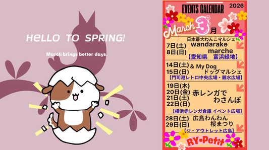 🌸3月イベント出店予定🌼