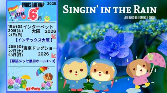 🌈6月イベント出店予定🌈