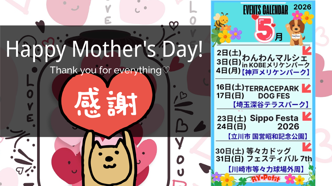 🍀5月イベント出店予定🍀