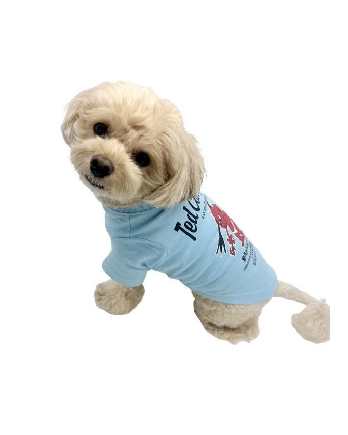 テッドマン　Tシャツ